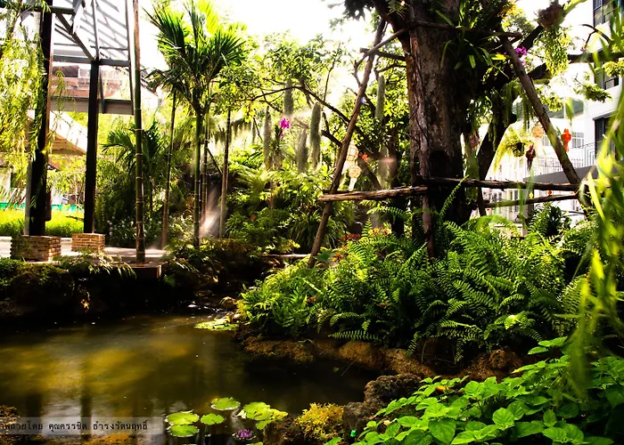 Oasis Banguecoque