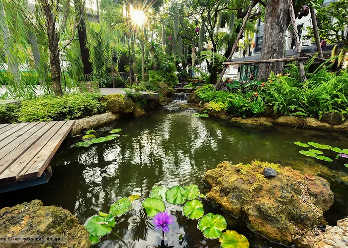 Oasis 3*