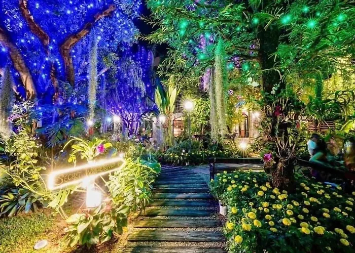 Oasis